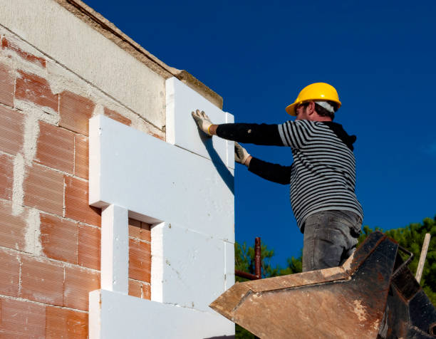 Best Cellulose Insulation in Amelia, LA
