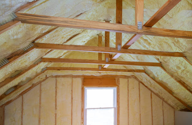 Best DIY Insulation Kits and Guidance in Amelia, LA