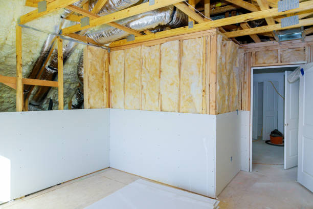 Best Geographic-Specific Insulation Services in Amelia, LA