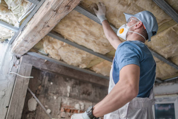 Best Blown-in Insulation in Amelia, LA